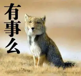 蓝瘦香菇本人曝光表情包世纪大战赢来终极帝王