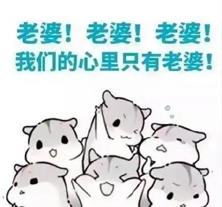 女儿情人节祝福表情包爱