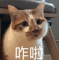 近期热图,斗图表情精选