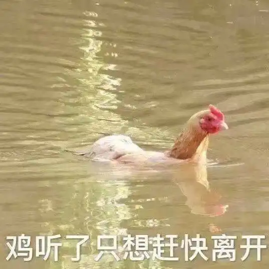 热门表情包图片熊猫头,有个东西你肯定不会借给我