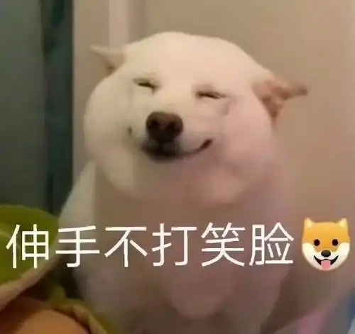 求关心表情包跪了