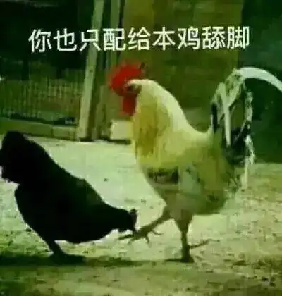 我为什么不感叹假期结束每日搞笑段子