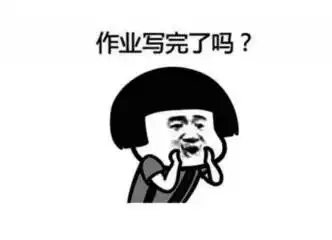 石家庄精英中学发表趣闻丨暑假作业你是怎么做完的