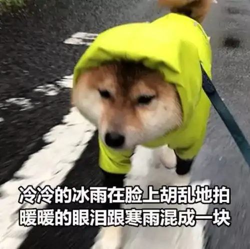 半夜惊醒,发现床边有人盯着我看