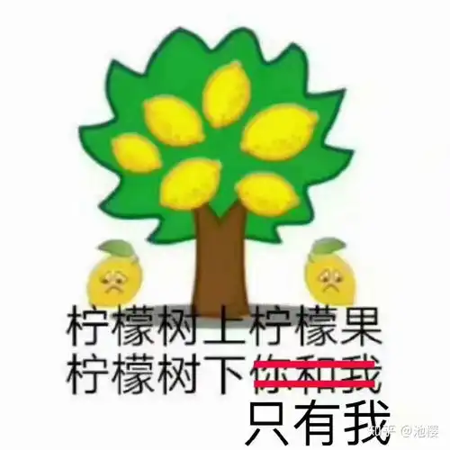 表示我酸了的文艺句子