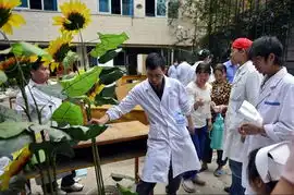 网易财经图集医院将破产医生卖家具