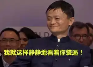 雷军表情包这tm绝对