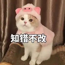 工人与领导安全帽对比视频热传互撞如鸡蛋碰石头
