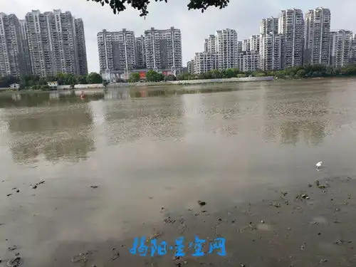 表情素质何在市区多辆共享单车被人恶意扔进榕江里图片表情