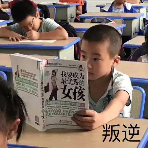 我不会表情包表情包