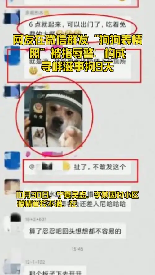 网友在微信群发狗狗表情照被指辱警构成寻衅滋事拘9天