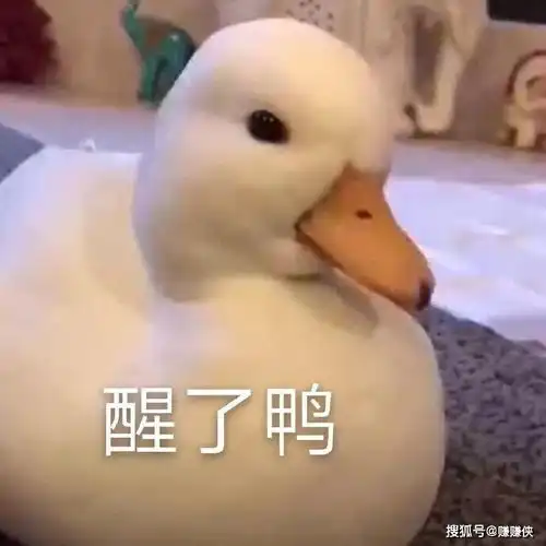 热门表情包图片我就色眯眯的盯着你,怎么了