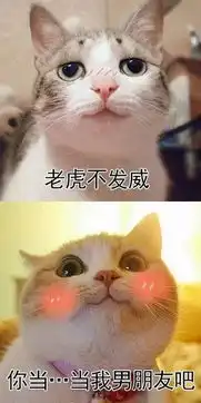 撩妹表情包动漫暴走漫画
