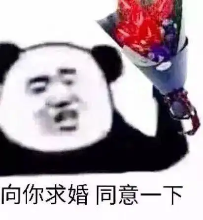 熊猫头表情包i能带上年幼的我吗