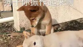 记录2020不一样的情人节