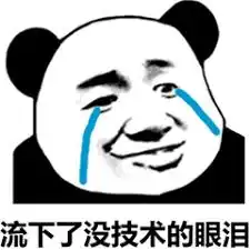 程序员的表情包最后一个你懂的