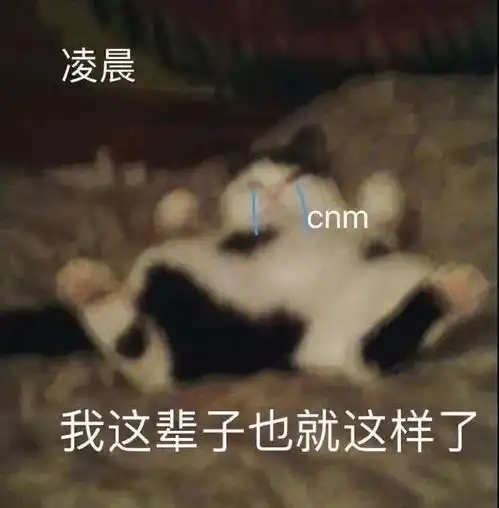 表情包丨见到哥哥