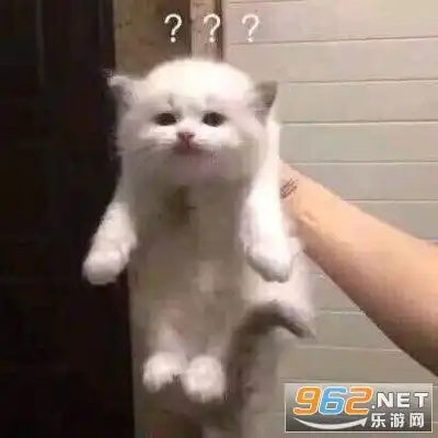 三只猫点头表情包动图gif三只猫点头表情包下载乐游网游戏下载