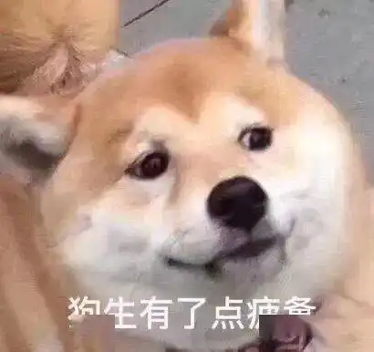 聊天斗图表情包i我快忍不住了