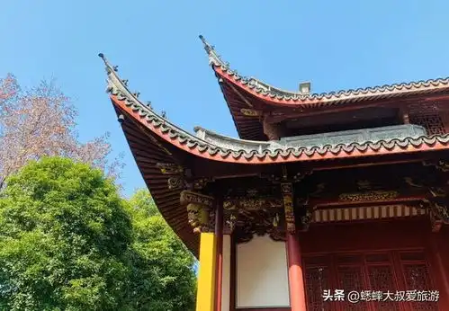 这个杭州寺园合一宝藏地真不错,免费开放,地铁直达,来逛吧