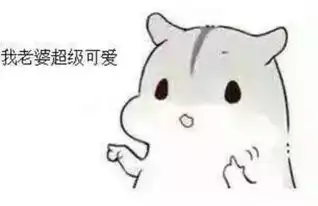 哄老婆表情包老婆大人对不起好喜欢老婆我老婆超级可爱