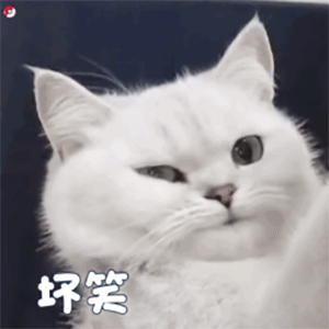 表情包别生气了