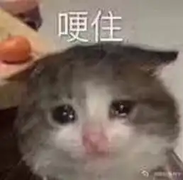 官服求加好友qwq