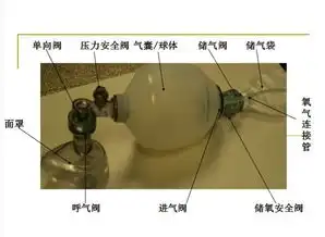呼吸皮囊操作流程