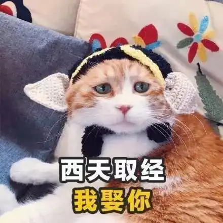 撩人情话女撩男表情包
