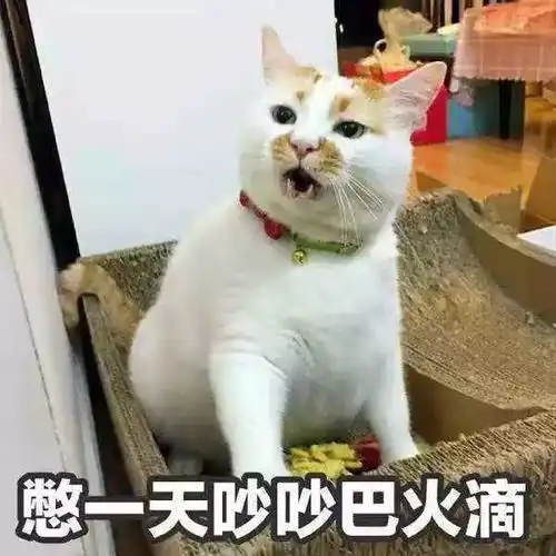 你瞅啥瞅你咋滴想干啥