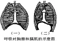 某人因意外受伤出血.血呈喷射状.他受伤的血管及你急救的措施应是a.动脉扎结受伤处的近心端b.静脉扎结受伤处的远心端c.动脉扎结受伤处的远心端d.静脉扎结受伤处的近心端