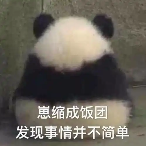 求求你千万别看这些沙雕小说,哈哈哈哈哈哈哈