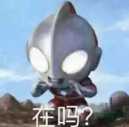 小猫咪卖萌表情人家都生气了,你还不快来哄哄