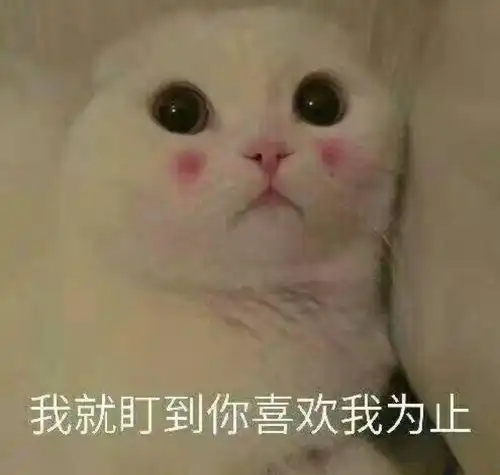 二乔nice表情包侍宠