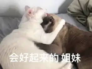 真心话深度交流自曝你最扎心的一次假装