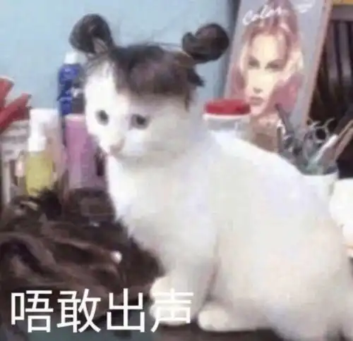 九阴白骨爪表情包沙雕