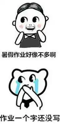 发作业表情包暑假作业