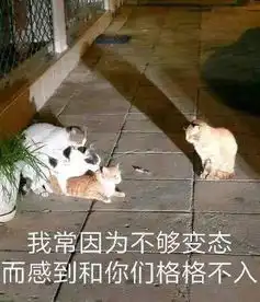 出国留学,最崩溃的6个瞬间......