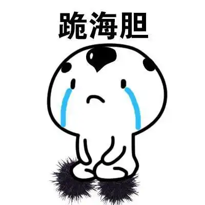 道歉书
