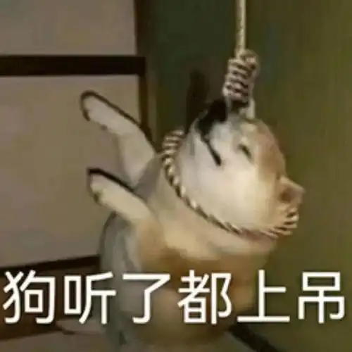 肥宅相亲故事