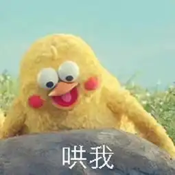 白宛照片白宛相册大全yy官方