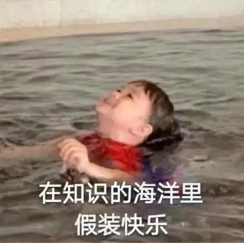 dmuers,你的三醒吾身小助手上线啦