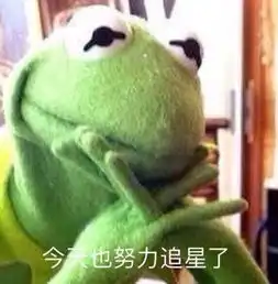 饭上爱豆只能硬着头皮看ta在综艺里的沙雕行为