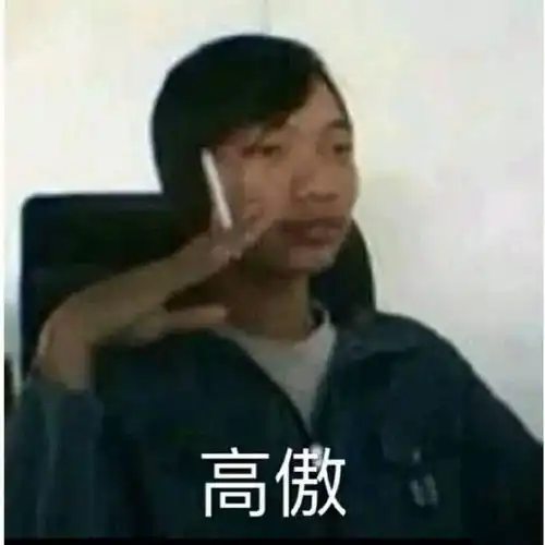 金艺贞表情包群里