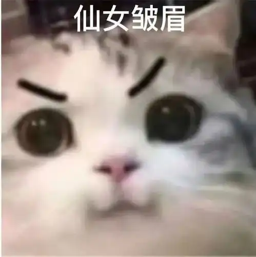 小猫卖萌表情包悲伤