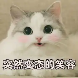 广东不下雪,但我们下施华洛世奇这几天广东美到全国都羡慕