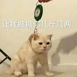 图多话少撒娇卖萌专用表情包,不敢发太多,怕你爱上我