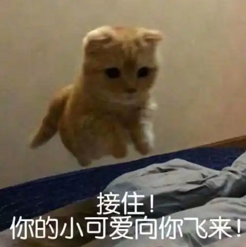 关于购买集成灶,百典发言消费者最关心的4大问题