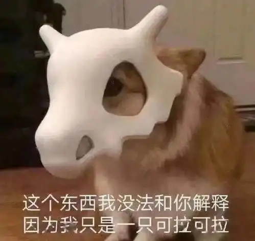 今晚dj猫打碟,大量蹦迪表情包预警...