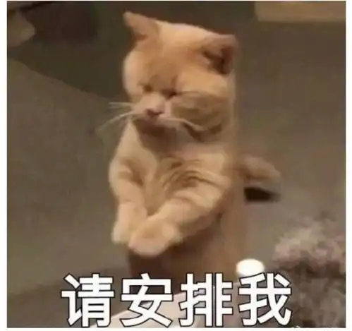 求推荐古风歌手